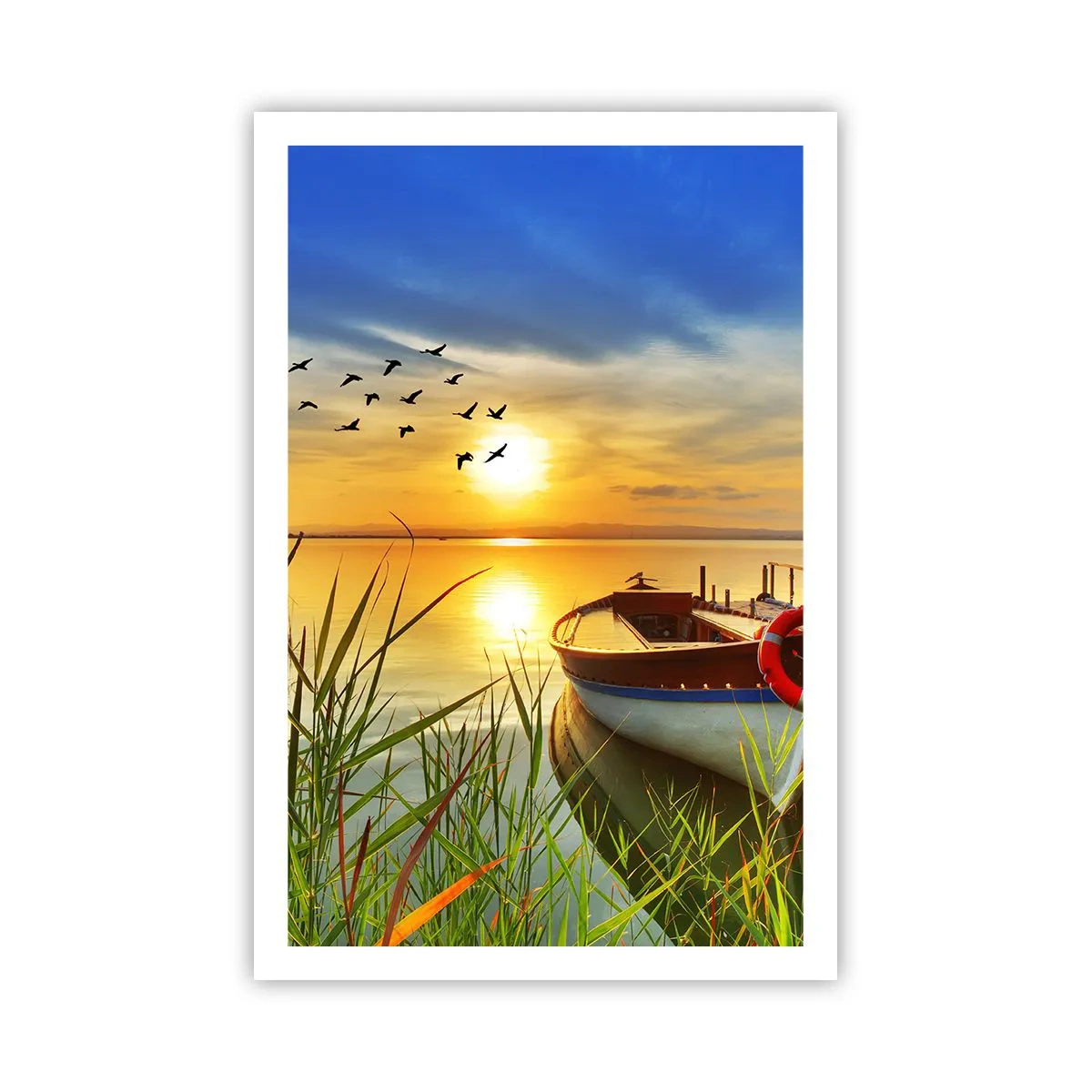 Poster - De aalscholvers vliegen al weg - 61x91 cm