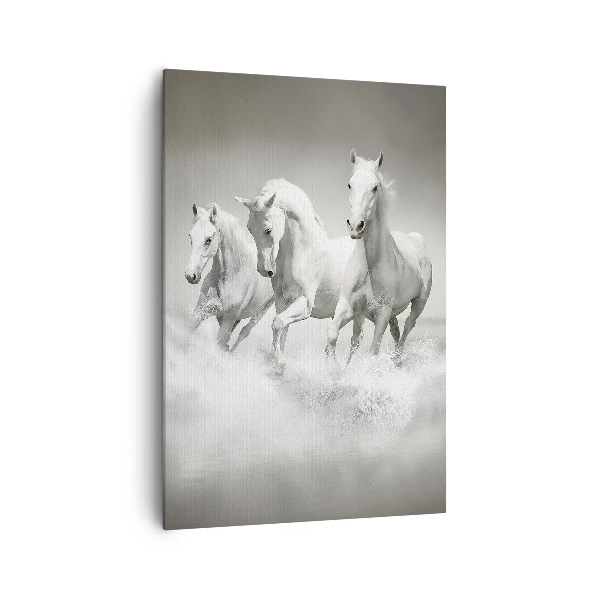 Schilderen op canvas - Witte waanzin - 70x100 cm