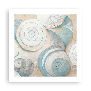 Poster - Wat zit er in de schelp? - 50x50 cm