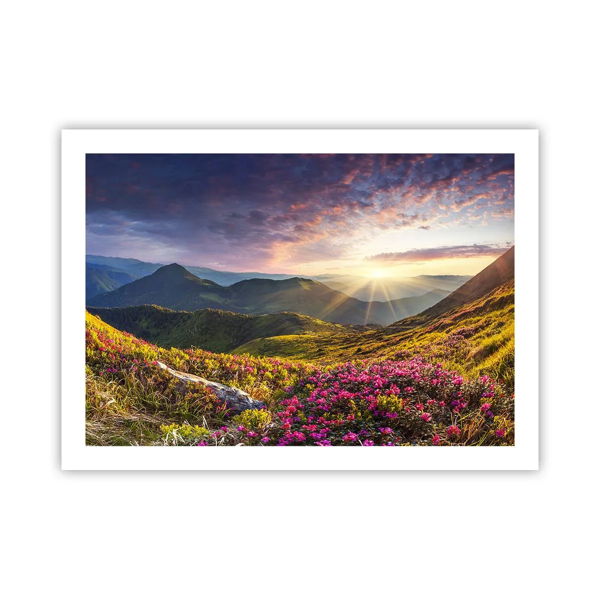 Poster - Frisheid in de ochtend in de bergen - 70x50 cm