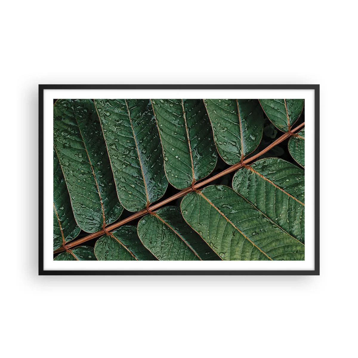 Poster in een zwarte lijst - In een groen ritme - 91x61 cm