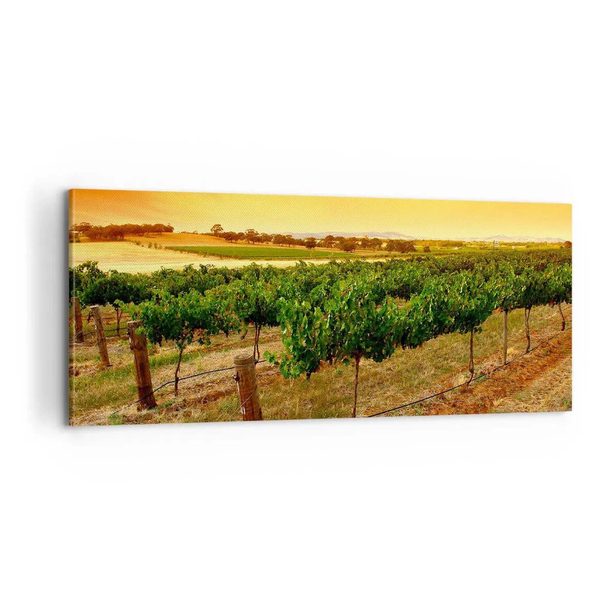 Schilderen op canvas - Neem een ​​drankje van de zon - 100x40 cm