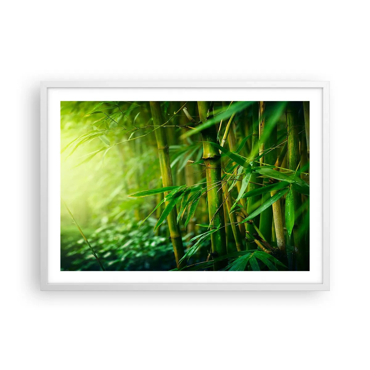 Poster in een witte lijst - Maak kennis met groen zelf - 70x50 cm