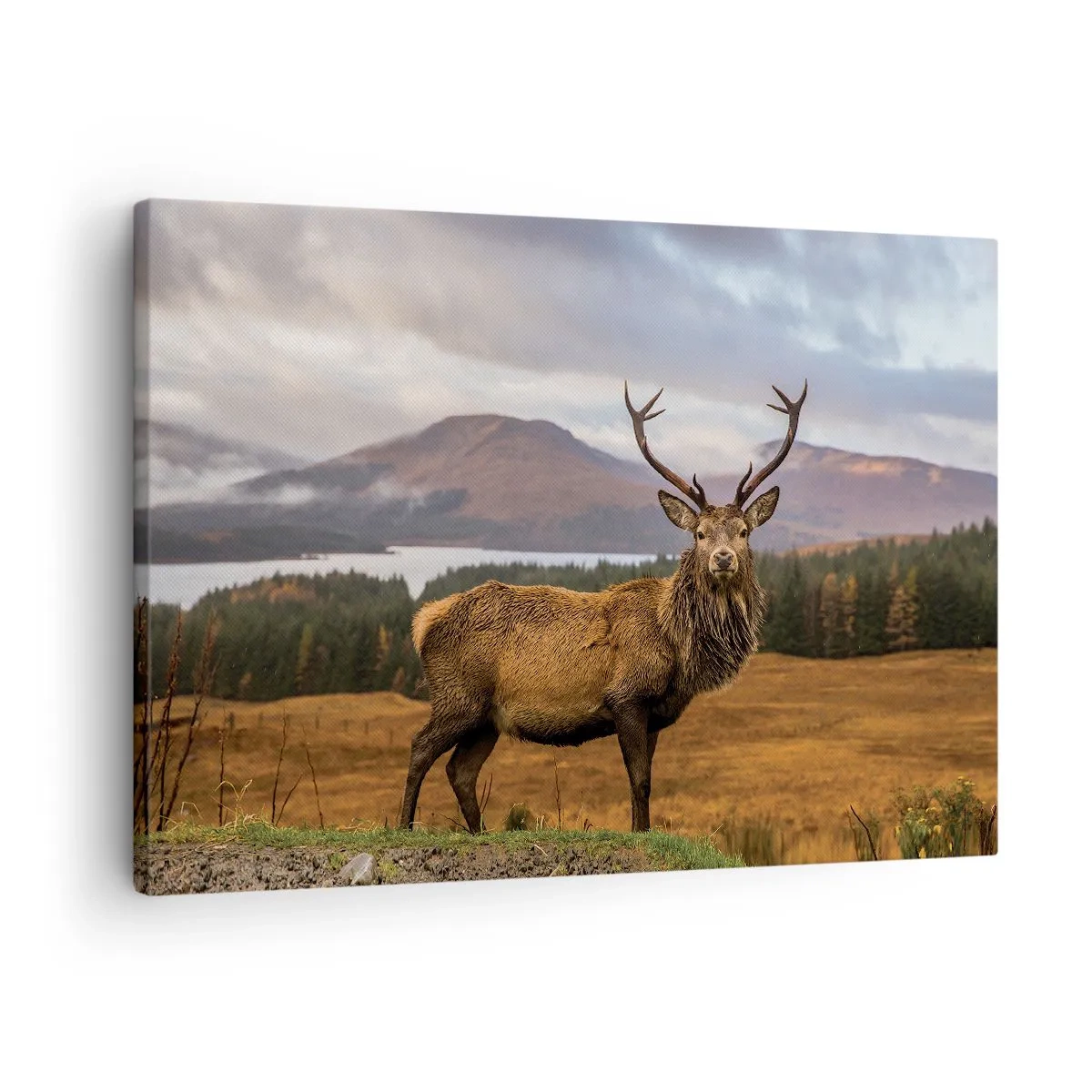 Schilderen op canvas - Een hert tegen de achtergrond van een berglandschap met meren en bos - 70x50cm - De majesteit van de natuur - Moderne wanddecoratie voor woonkamer en slaapkamer ARTTOR