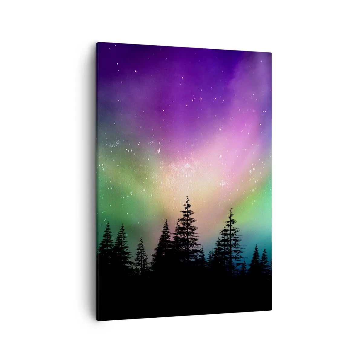 Schilderen op canvas - Witte magie - 50x70 cm