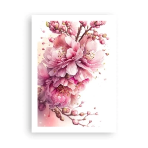 Poster - Kersenbloesem  - 50x70 cm