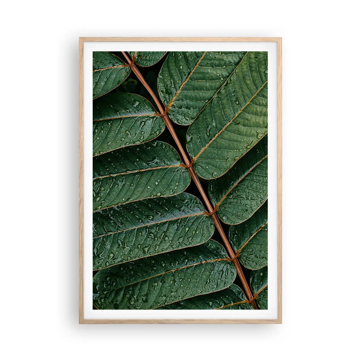Een poster in een licht eiken lijst - In een groen ritme - 70x100 cm