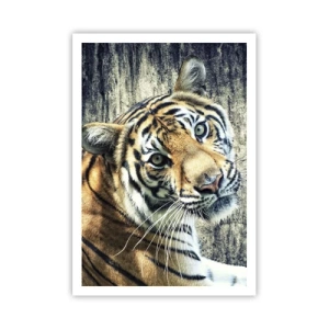 Poster - Portret in stromen van licht - 70x100 cm