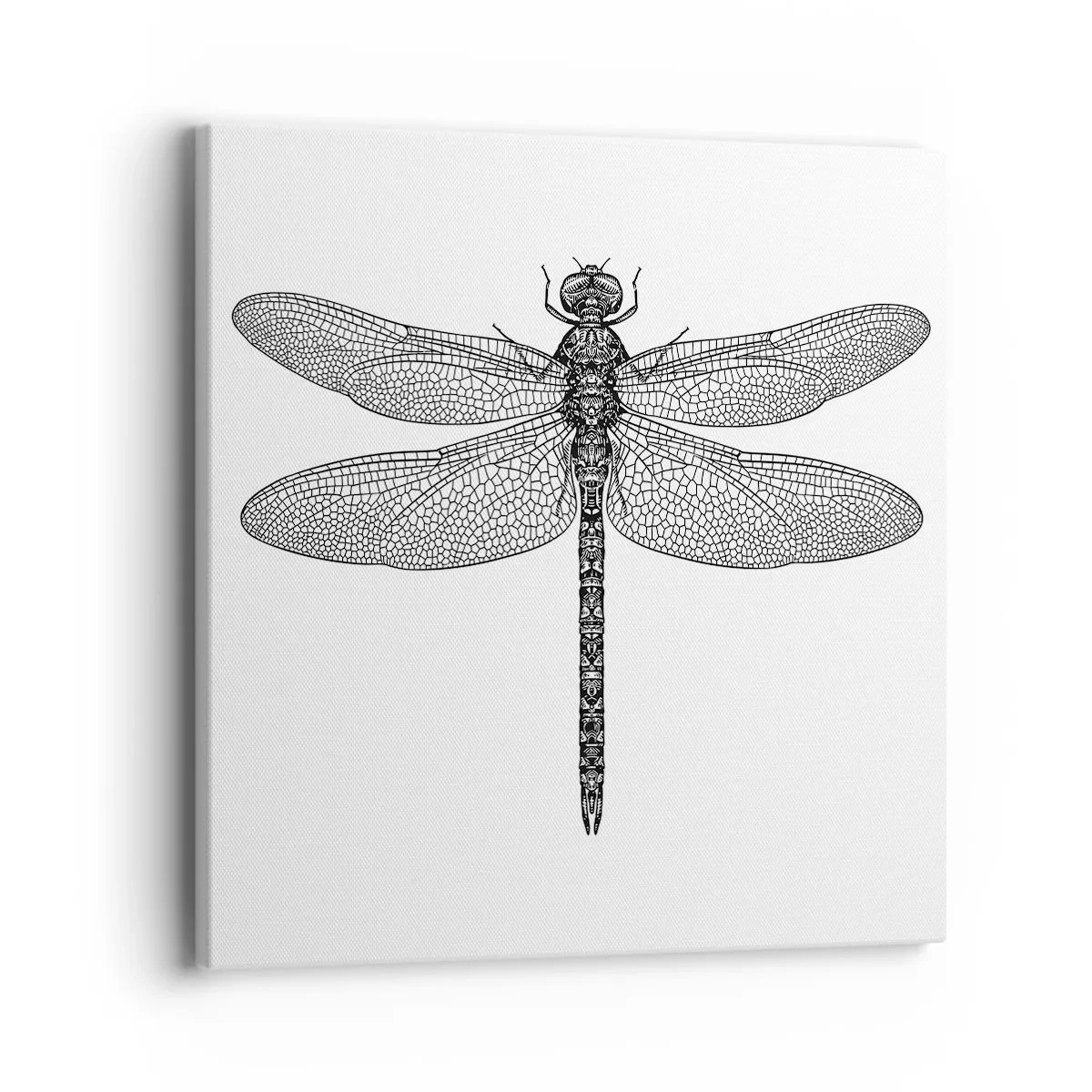 Schilderen op canvas - Precisie van de natuur - 40x40 cm