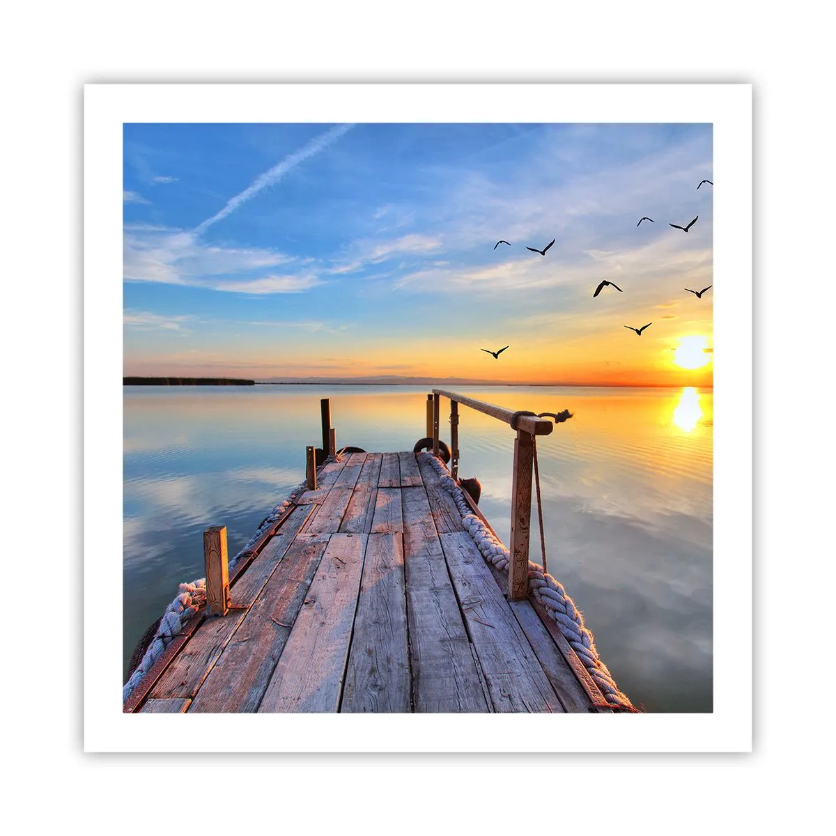 Poster - Loop recht naar de zon - 60x60 cm