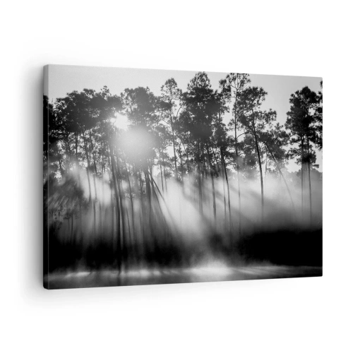 Schilderen op canvas - Zwart-wit bos in de ochtendmist - 70x50cm - Niet te stoppen zon - Moderne wanddecoratie voor woonkamer en slaapkamer ARTTOR