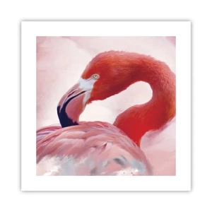 Poster - Vogel schoonheid - 40x40 cm