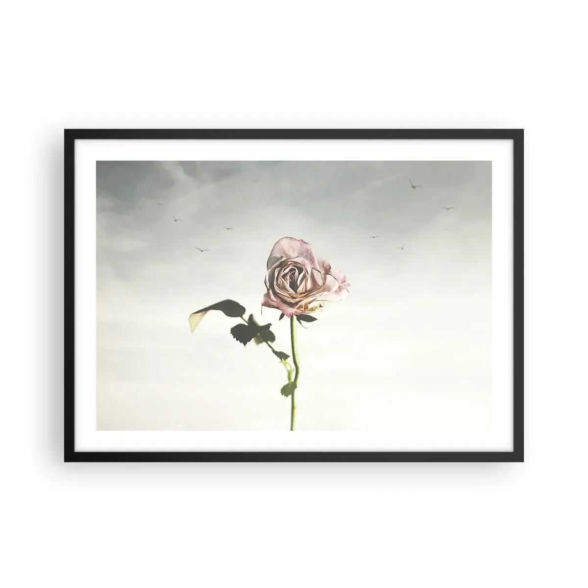 Poster in een zwarte lijst - Begroeting van de lente - 70x50 cm
