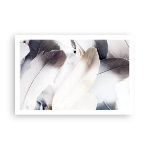 Poster - Bijna engelachtig - 91x61 cm