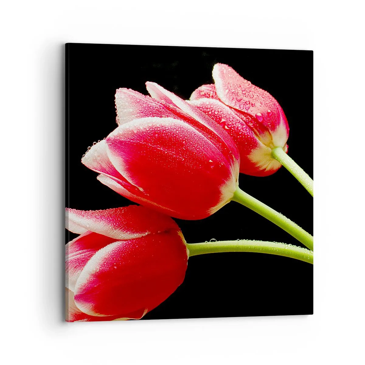 Schilderen op canvas - Een belofte van pure liefde - 70x70 cm