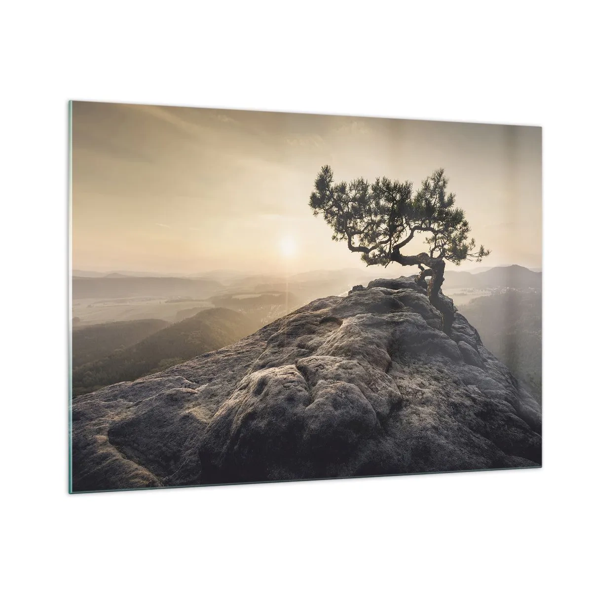 Schilderen op glas - Het leven wint altijd - 100x70 cm