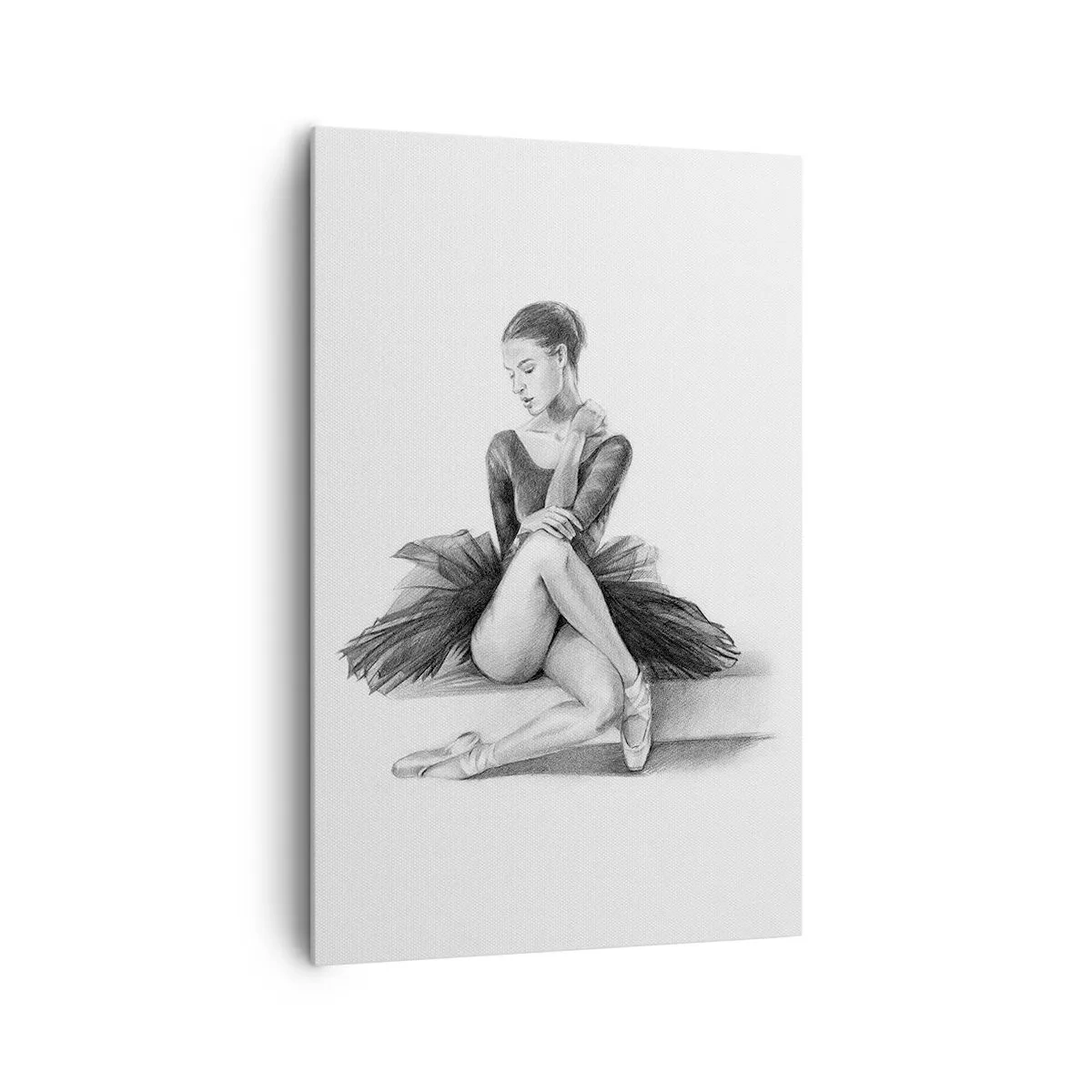 Schilderen op canvas - Betoverd door de dans - 80x120 cm