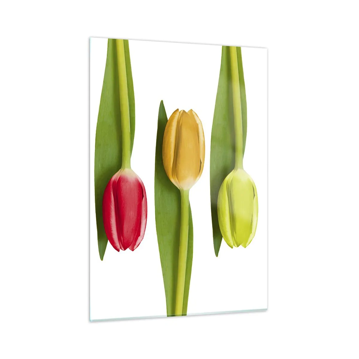 Schilderen op glas - Regenboog compositie - 50x70 cm