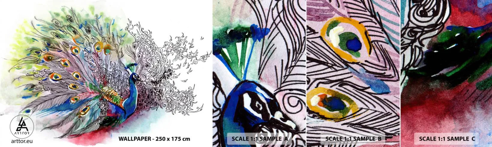 Fotobehang Staaltje Standard Eco - Met trots tegen grijs - Vogel, Pauw, Veren - 100x30 cm