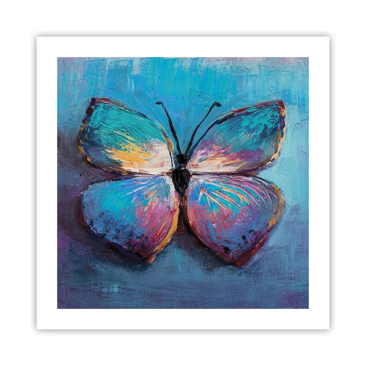 Poster - In al zijn glorie - 50x50 cm