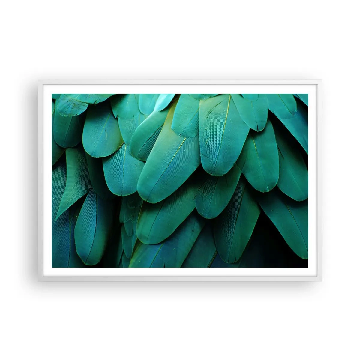 Poster in een witte lijst - Papegaaiachtige precisie - 100x70 cm