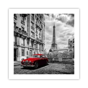 Poster - Roofdier in de stad - 50x50 cm