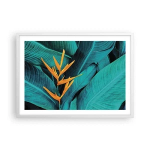 Poster in een witte lijst - Eden bloem - 70x50 cm