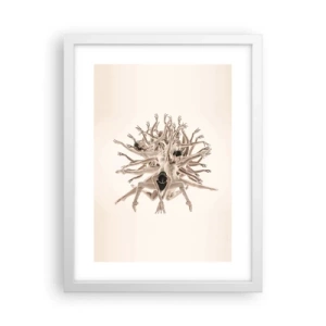 Poster in een witte lijst - Bloeiend in dans - 30x40 cm