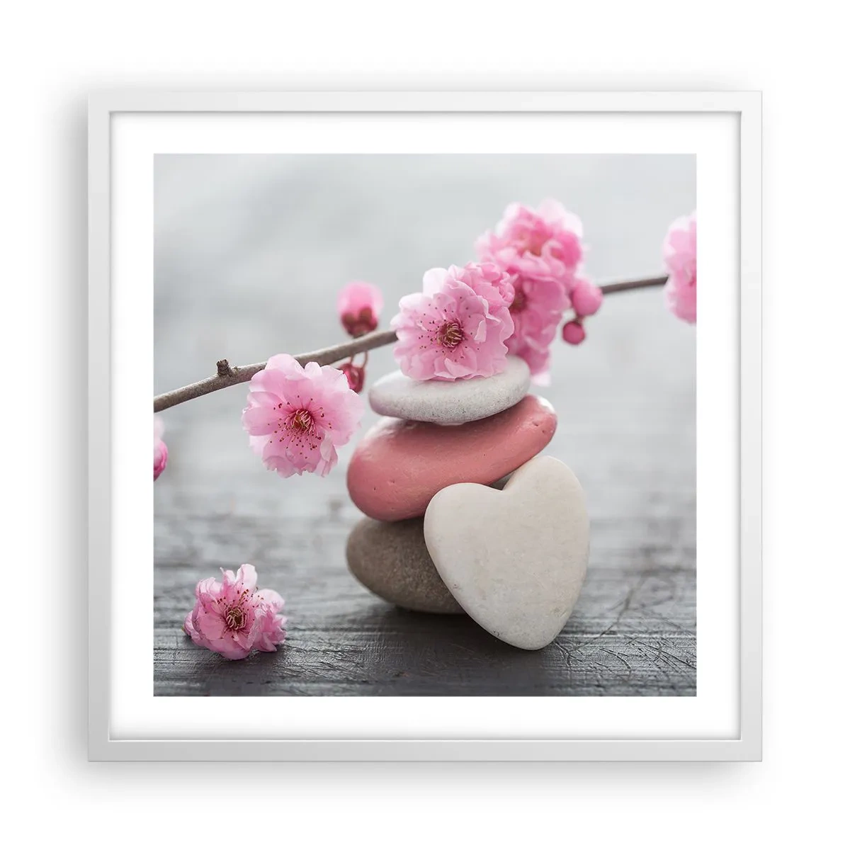Poster in een witte lijst - Gelukzaligheid met een kersenbloesem - 50x50 cm