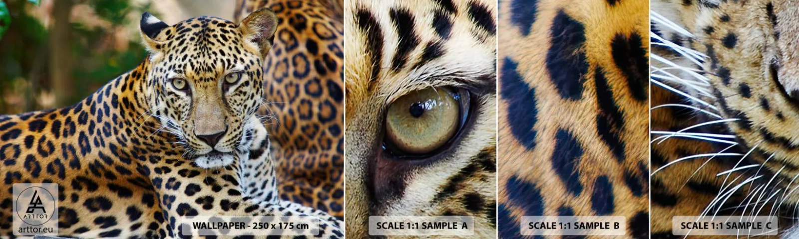 Fotobehang Staaltje Standard Eco - Wild en kalm - Dieren, luipaard, Afrika - 100x30 cm