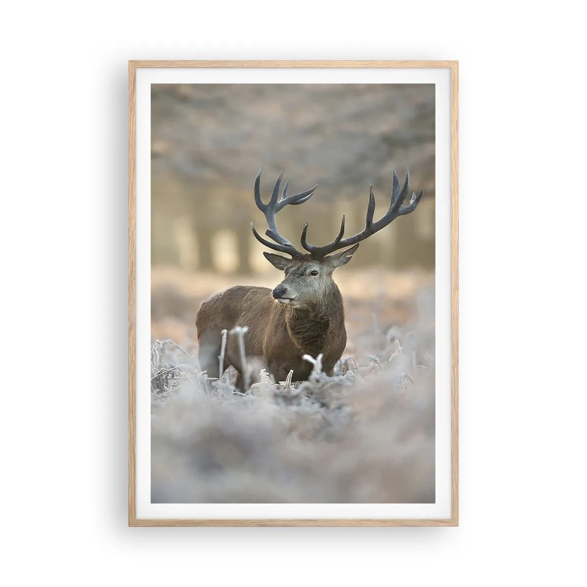 Een poster in een licht eiken lijst - Een frisse ochtend - 70x100 cm