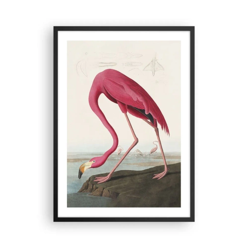 Poster in een zwarte lijst - Een roze flamingo tegen een natuurlijk landschap - 50x70cm - Geweldige creatie - Moderne wanddecoratie voor woonkamer en slaapkamer ARTTOR