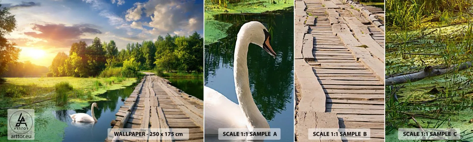 Fotobehang Monster Zelfklevend Deluxe Sticker - Zomer, zomer overal - Landschap, Meer, Woud - 100x30 cm