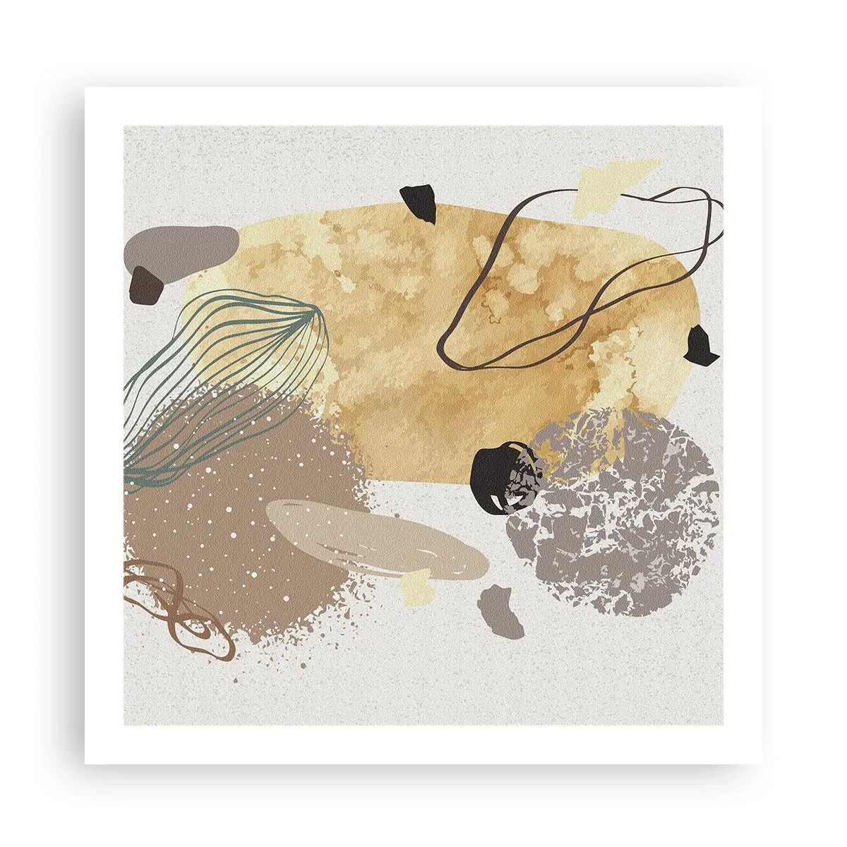 Poster - Toegepaste plumcologie - 60x60 cm