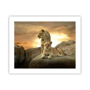 Poster - Koninklijke majesteit - 50x40 cm