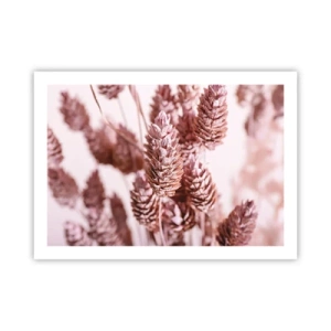 Poster - Schijnbaar onopvallend - 70x50 cm