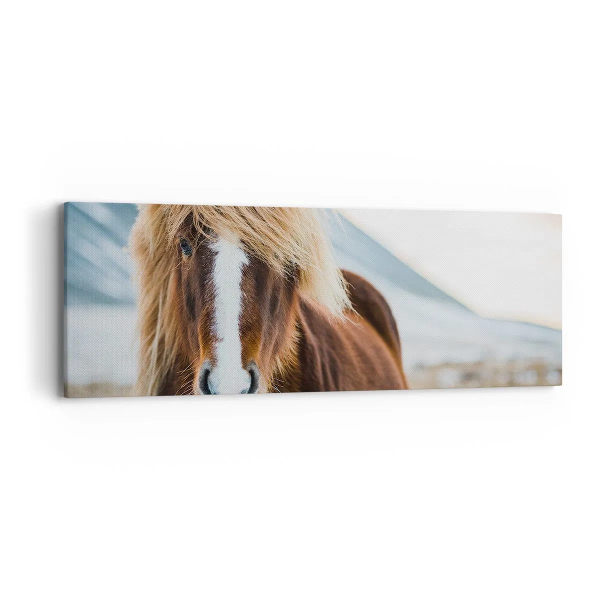 Schilderen op canvas - Voel jij je vrij? - 90x30 cm