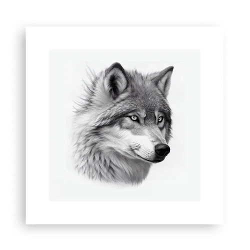 Poster - Alfa – zonder twijfel - 30x30 cm