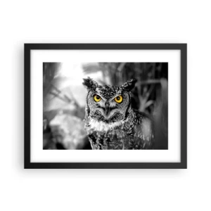 Poster in een zwarte lijst - Niets zal zich verbergen - 40x30 cm