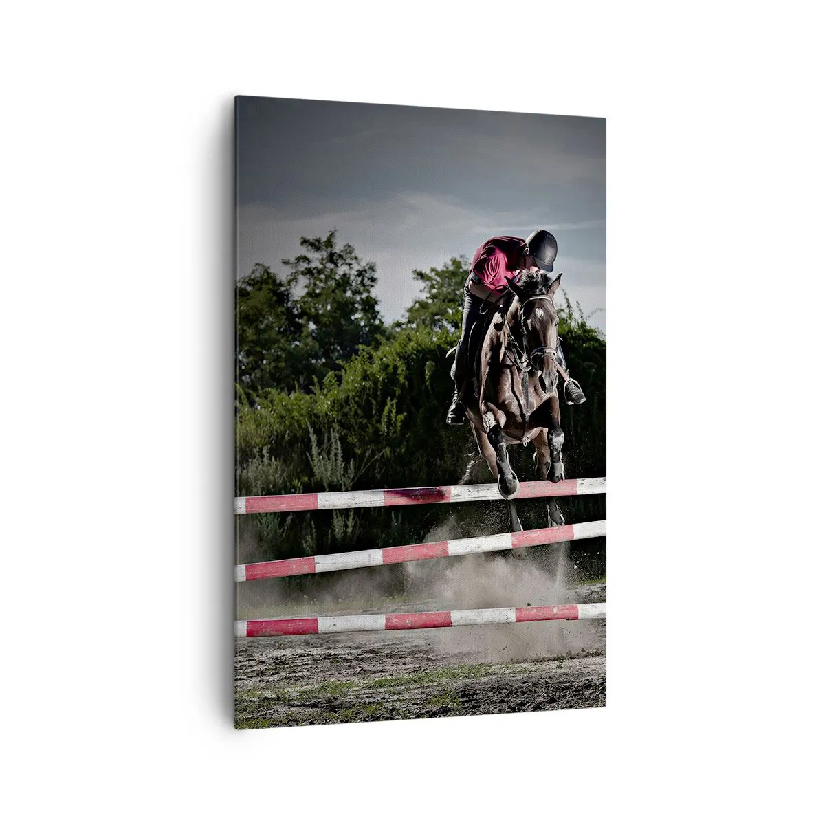 Schilderen op canvas - Samen naar de overwinning - 80x120 cm