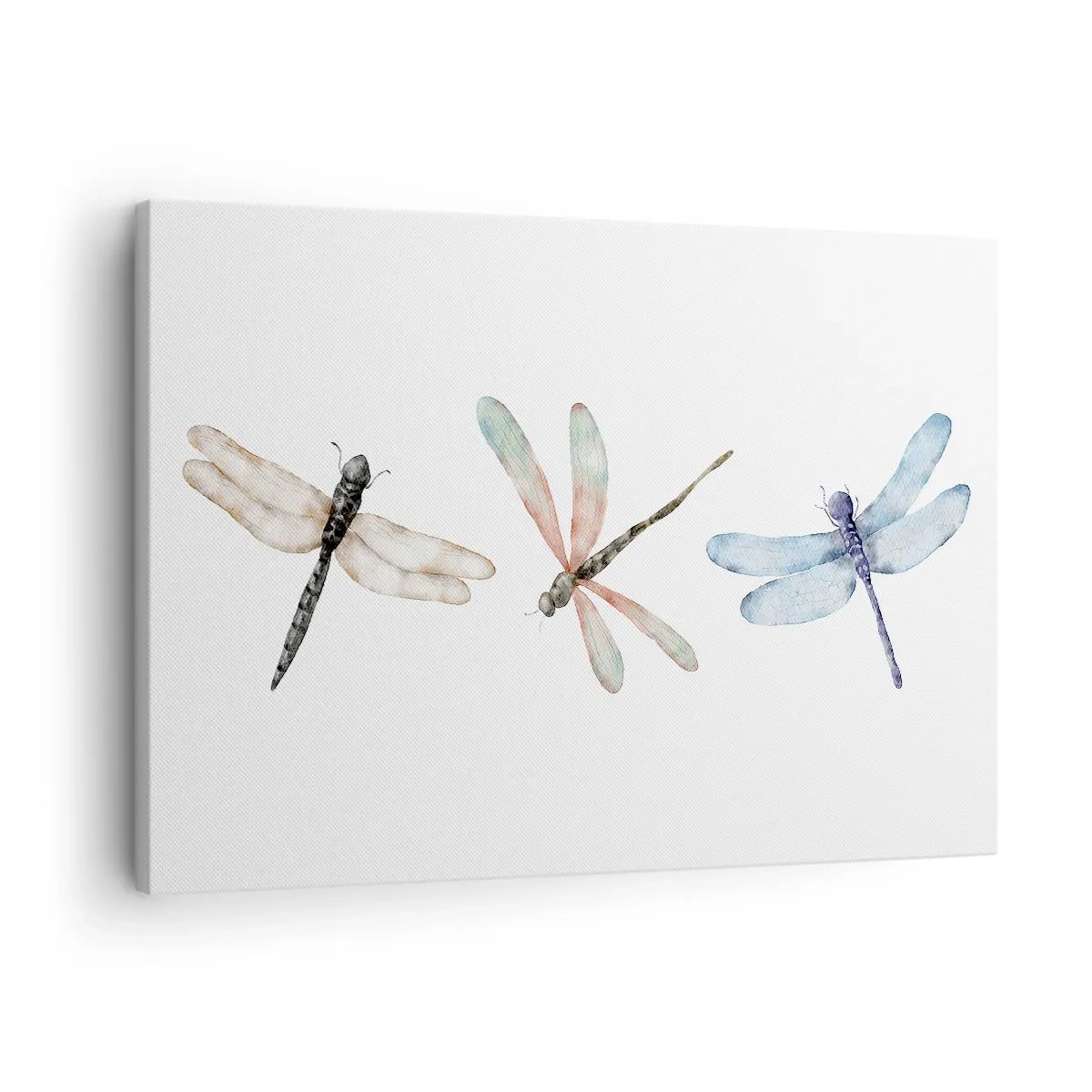 Schilderen op canvas - Drie libellen in delicate pastelkleuren - 70x50cm - Gewichtloze libellen - Moderne wanddecoratie voor woonkamer en slaapkamer ARTTOR