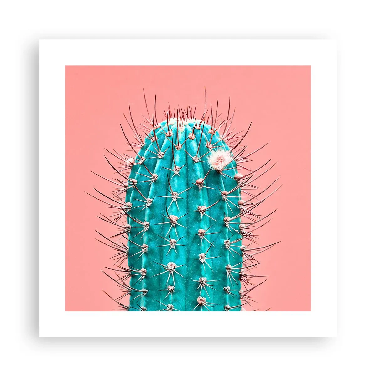 Poster - Kijk gewoon - 40x40 cm