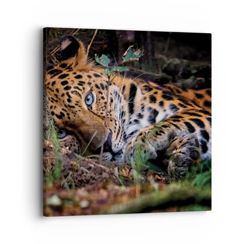 Schilderen op canvas - Geloof me - 30x30 cm