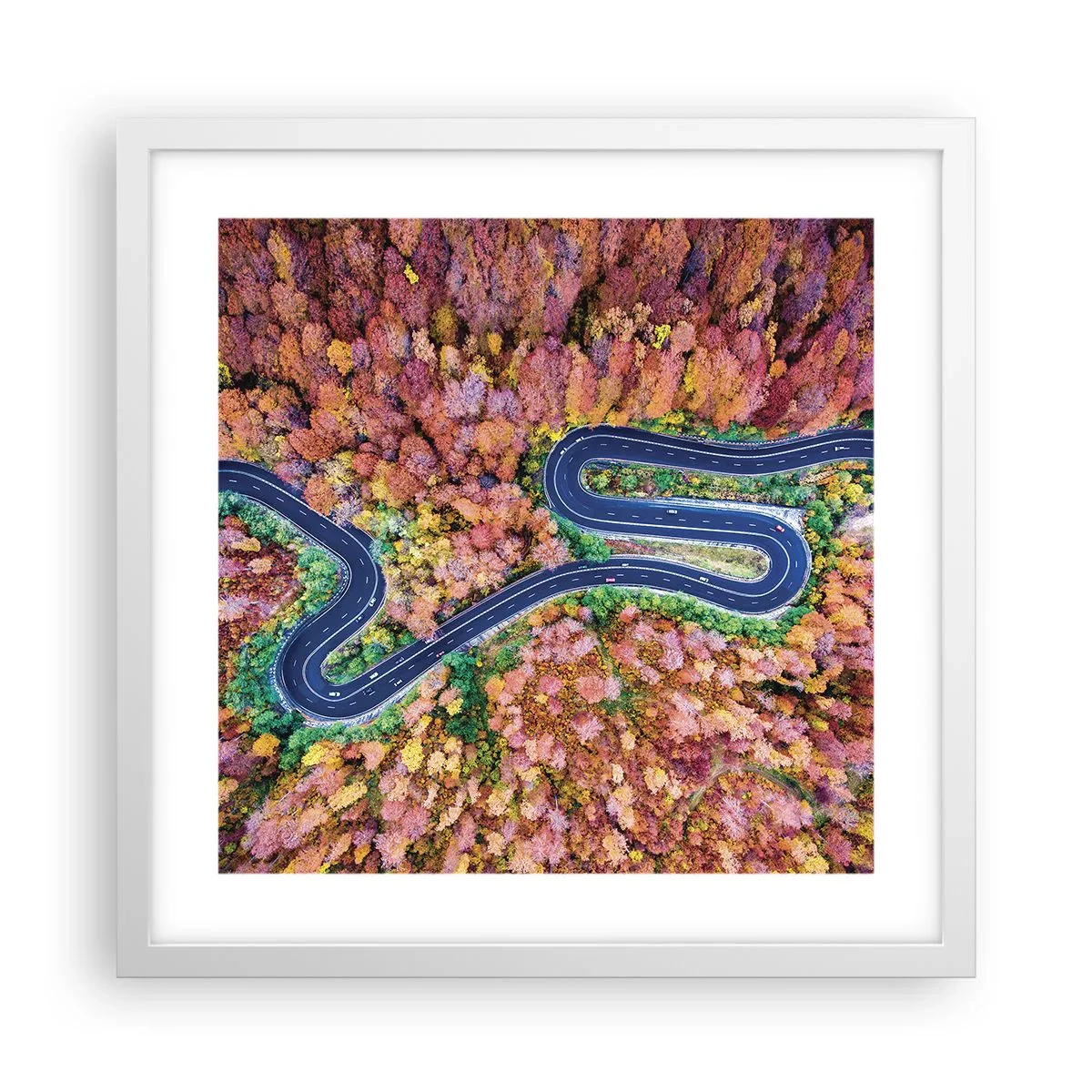 Poster in een witte lijst - Een kronkelende weg door het bos - 40x40 cm