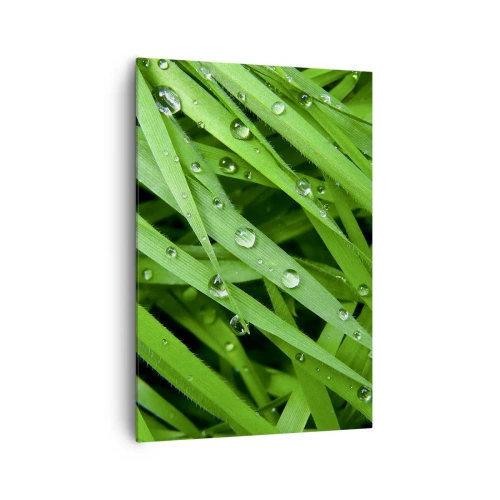 Schilderen op canvas - Speel groen - 70x100 cm