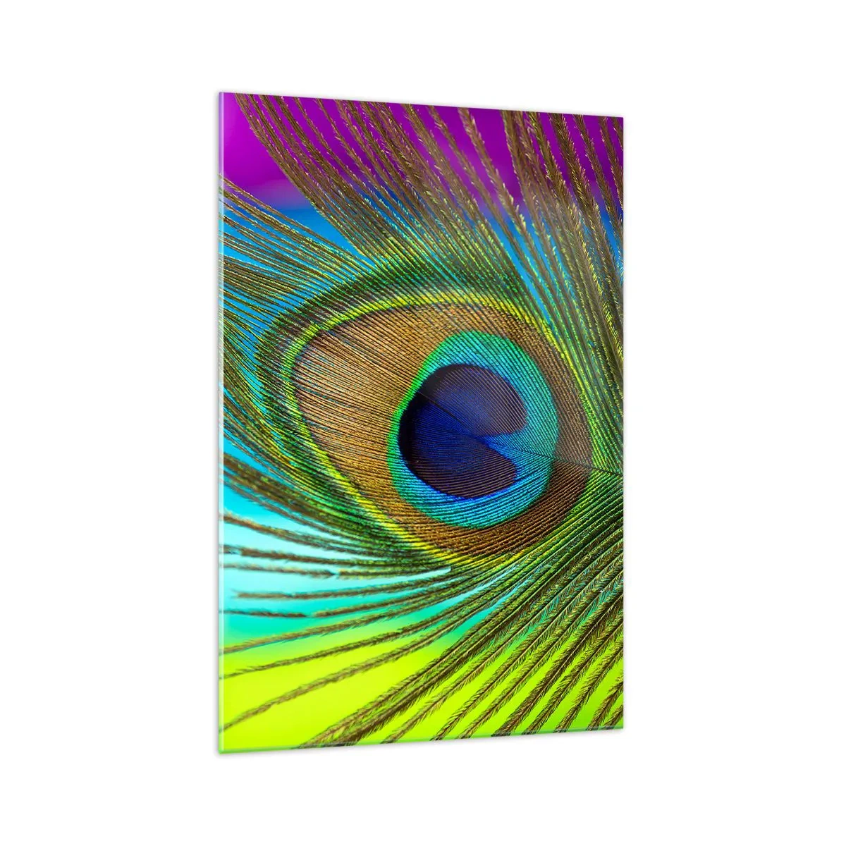 Schilderen op glas - Oog in oog - 70x100 cm
