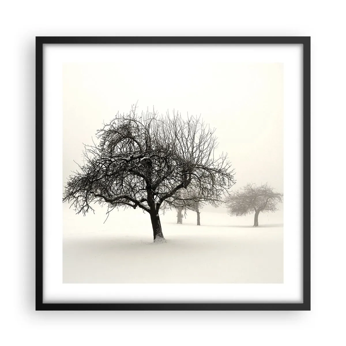 Poster in een zwarte lijst - Winterslaap - 50x50 cm