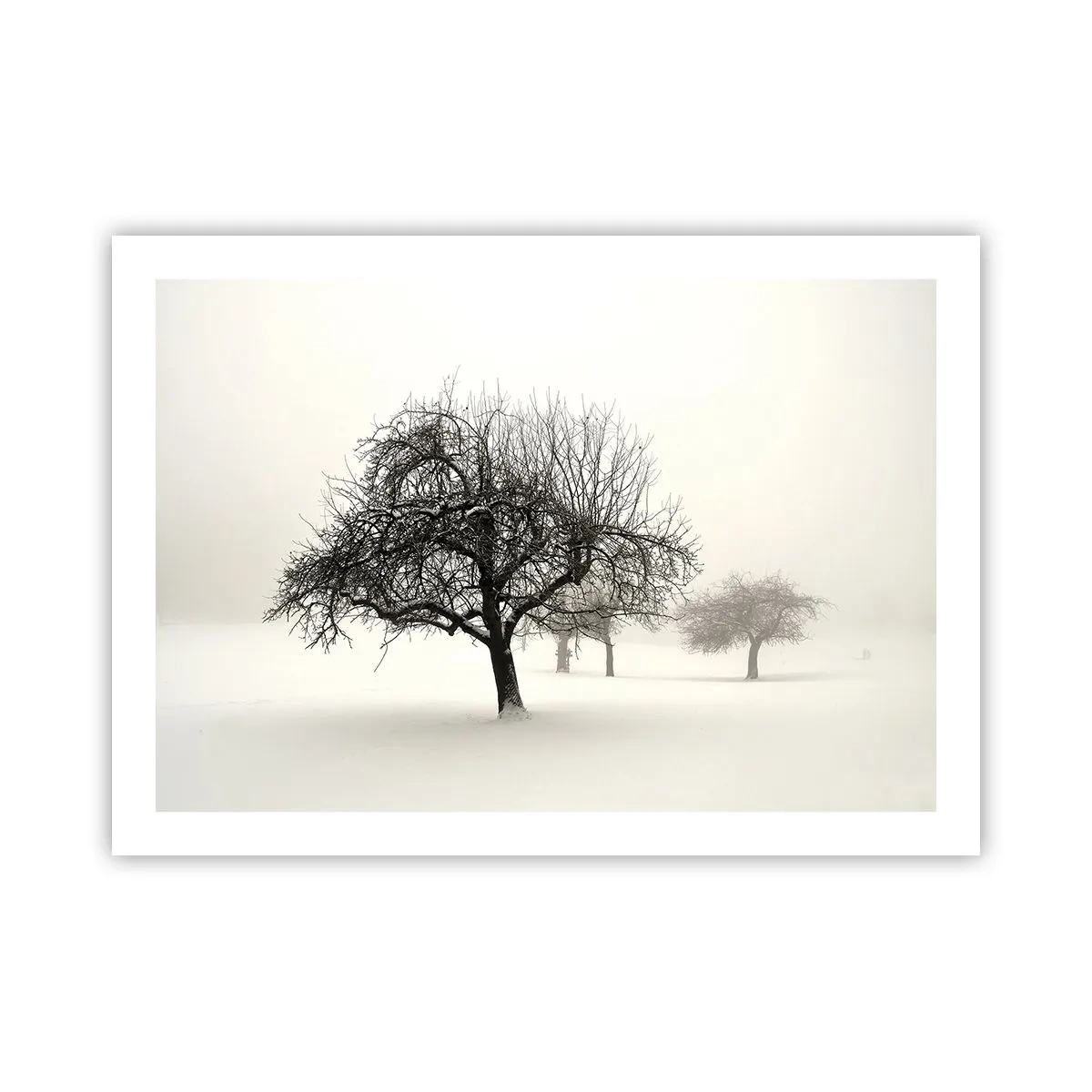 Poster - Winterslaap - 70x50 cm