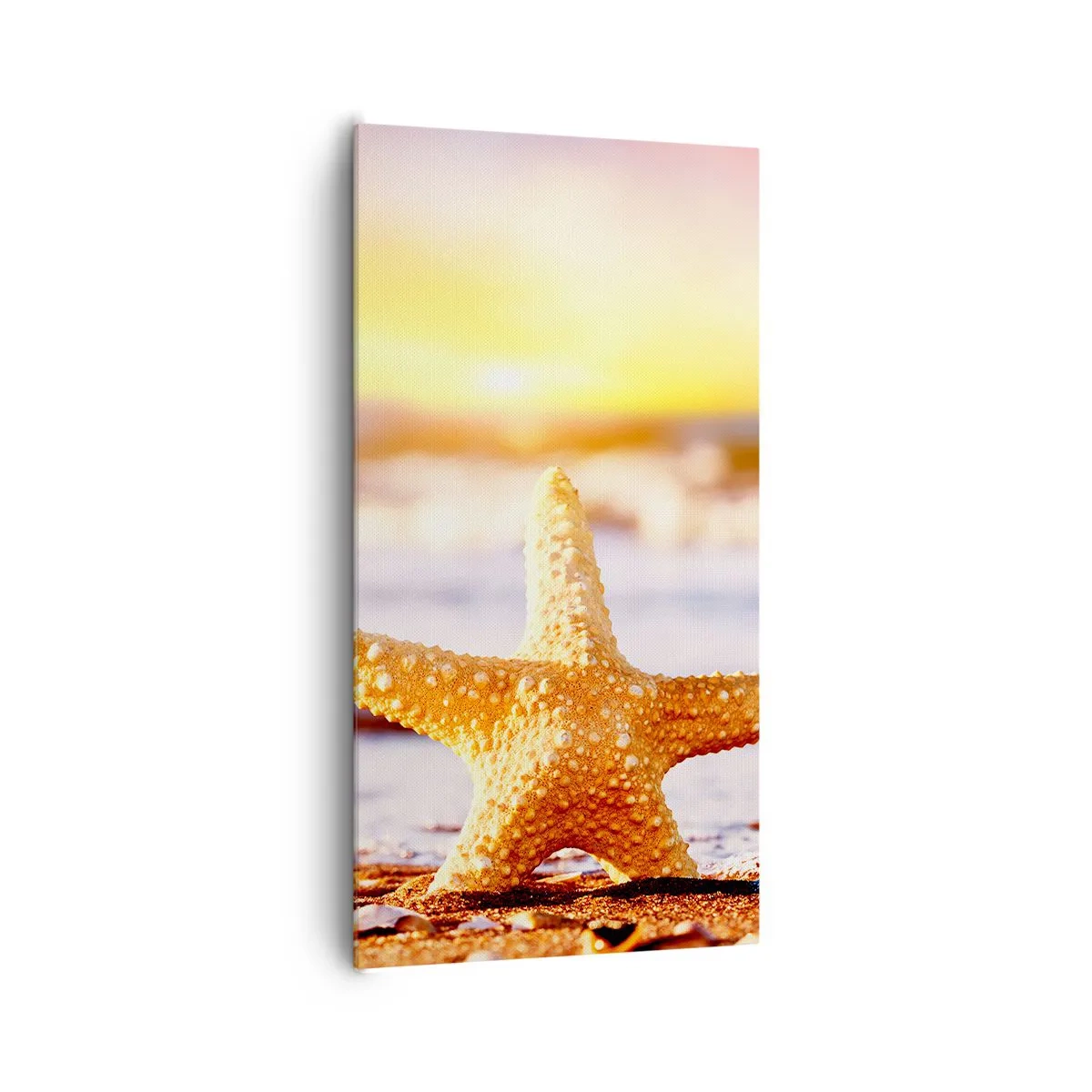 Schilderen op canvas - Een geschenk uit de zee - 65x120 cm