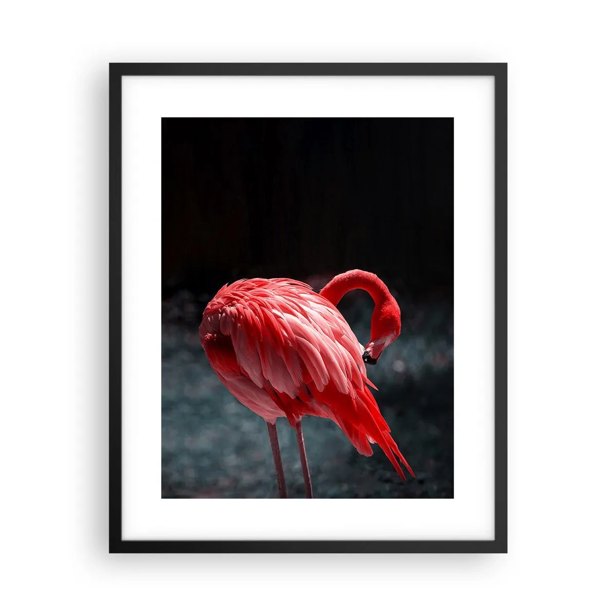 Poster in een zwarte lijst - Een karmozijnrood gedicht van de natuur - 40x50 cm